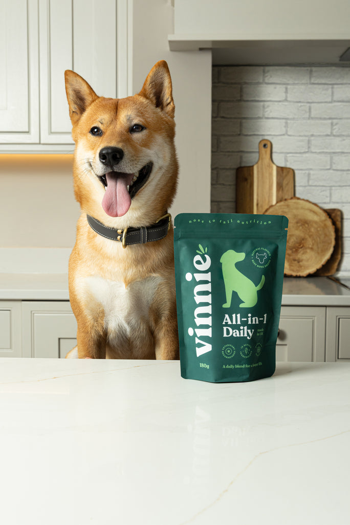 Vet Testimonial Author Profile Image