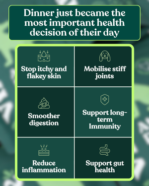 Product Image for Benefits Section