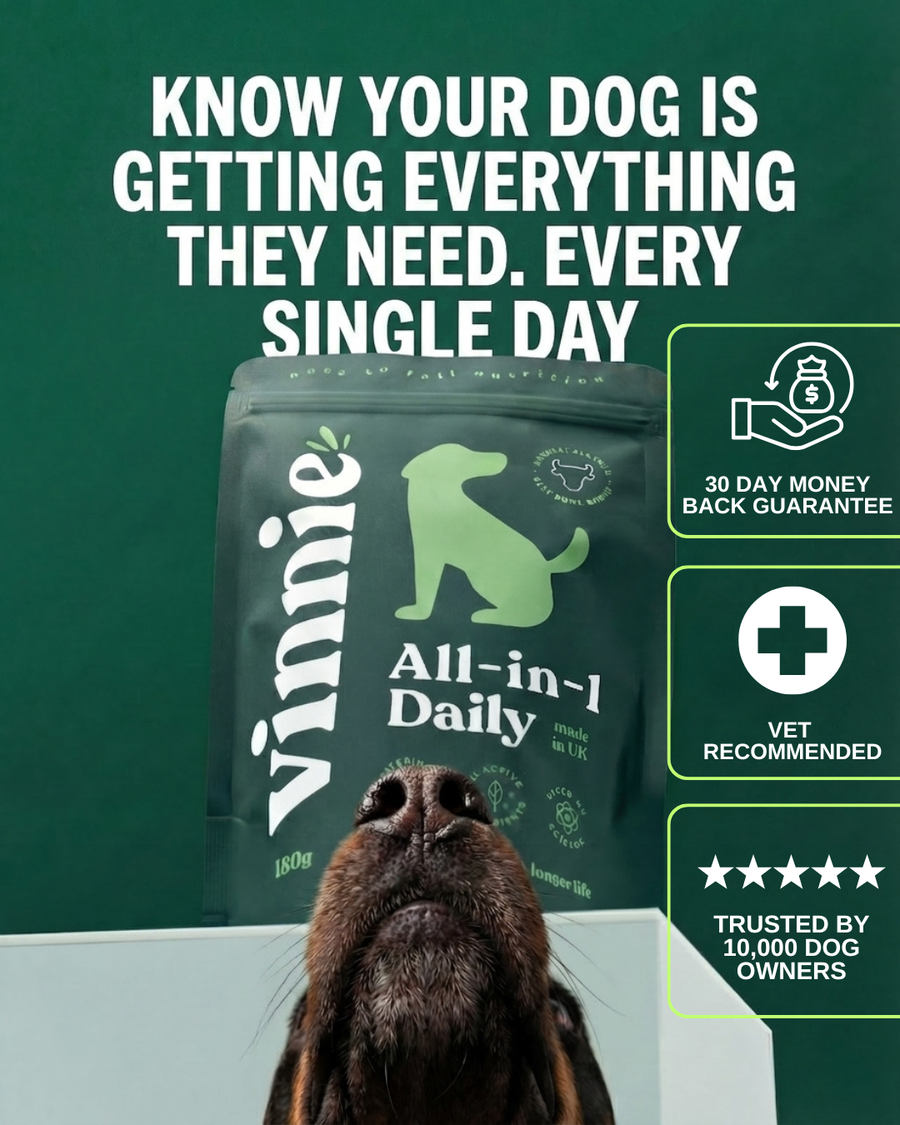 Vinnie All-in-One Daily